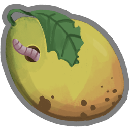 Mango???
